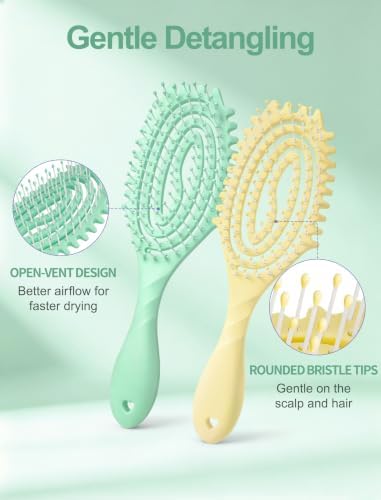 HIPPIH 2 Pack Hair Brush - Wet Dry Detangler Brush, Hair Brushes for Women - Image 3