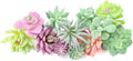 12 Pack Artificial Succulents Fake Plants Unpotted for Home Decor by WOHSEROM