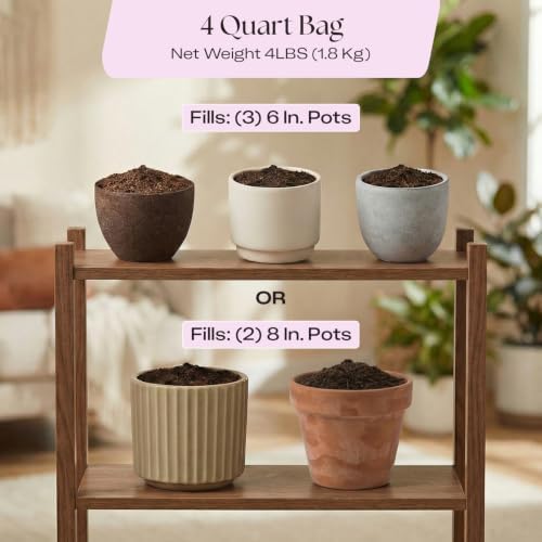 Rosy Soil Aroid Soil Mix, Chunky Biochar Potting Mix, 4 Quarts (Pack of 2) - Image 7