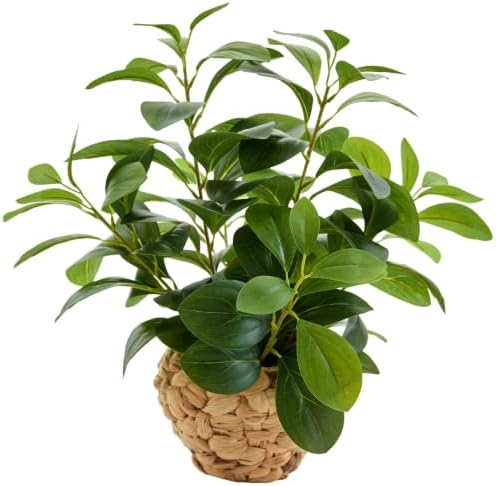 AlphaAcc Fake Faux Potted Plant 15.7" Ficus Water Hyacinth Boho Decor by AlphaAcc