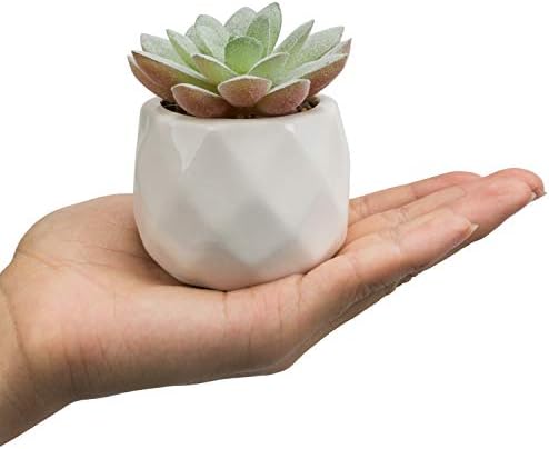 MyGift Mini Assorted Faux Succulent Plants Ceramic Geometric Pots Set of 6 - Image 5