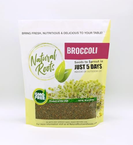 Broccoli Sprouting Seeds One Pound Non-GMO for Sprouts and Microgreens by NaturalRoots