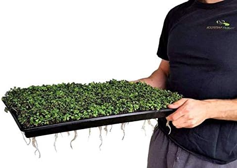 Bootstrap Farmer Extra Strength 1020 Trays, Purple with Holes, 10 Pack - Image 2