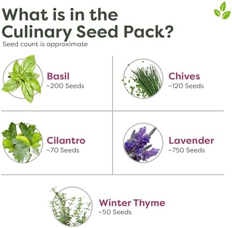Seed Packs (Culinary Seed Pack) - Image 3