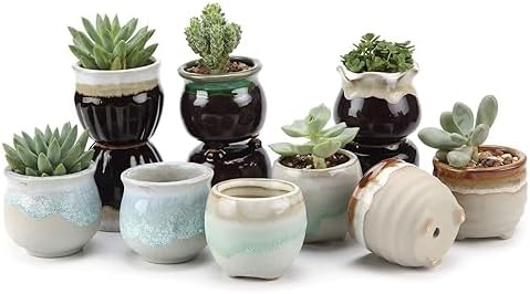 T4U Mini Ceramic Succulent Pots, Small Gift Planters, Retro Decor Set of 12 by T4U