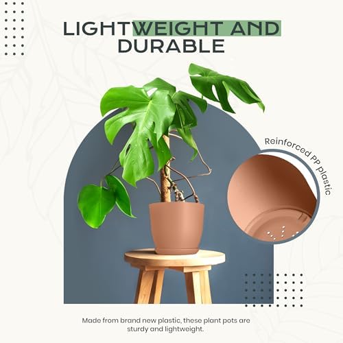 Plant Pots Indoor with Drainage 10 Pack Multi-Size Planters Set Terracotta - Image 6