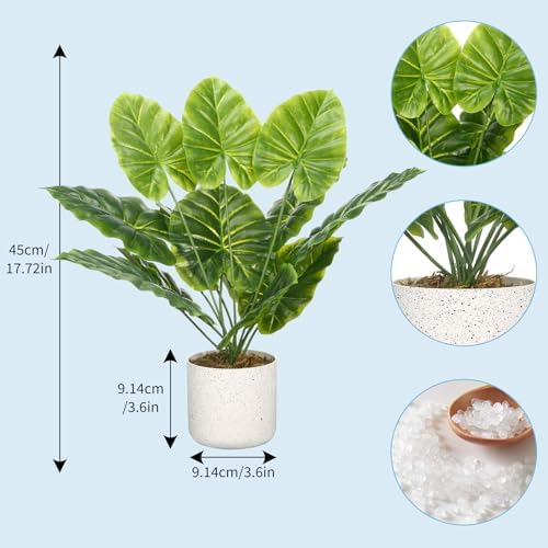Set of 2 Indoor Artificial Fiddle Leaf Fig Trees – Realistic Green Faux Plants in Pots, Tall Decorative Fake Plant for Home or Office, Low Maintenance, 17.7 Inch Display-Ready - Image 2
