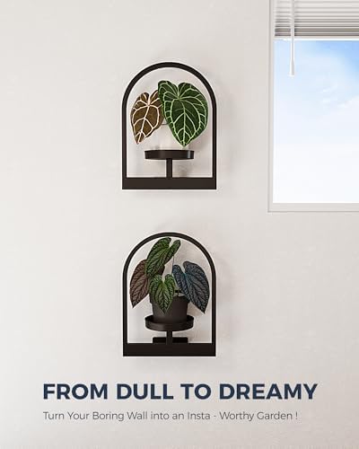 Bamworld Wall Plant Holder Plant Stand Indoor Wall Planters Round - Image 4