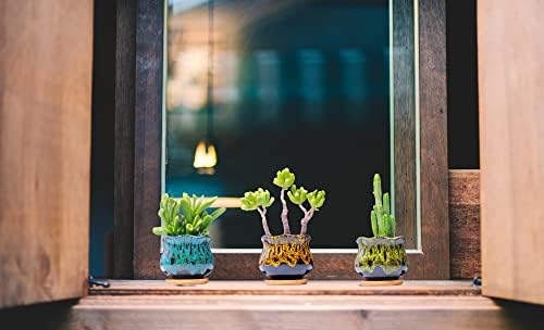 Cute Ceramic Succulent Garden Pots, Planter with Drainage and Attached Saucer, Set of 5 -Plants Not Included (Fambe) - Image 2