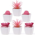 Woration 6Pcs Mini Artificial Pink Plastic Succulent Fake Plants Potted by Woration