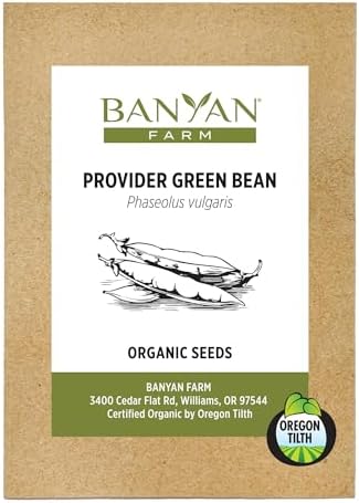Banyan Botanicals Organic Green Bean Seeds – Provider Heirloom Green Bean Seeds – Early-Producing, Tender, and Crisp – 100 Count – Open Pollinated Non-GMO Easy to Grow by BanyanBotanicals