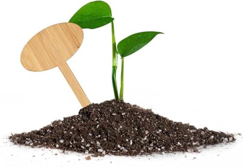 OBTANIM 75 Pack Bamboo Oval Plant Labels with A Marker Pen, Garden Markers Sign Plant Tags for Seedling Potted Herbs Flowers Vegetables - Image 3