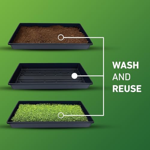 10x20 Inch Black Plastic 5 Pack Plant Propagation Tray - No Holes - Image 3