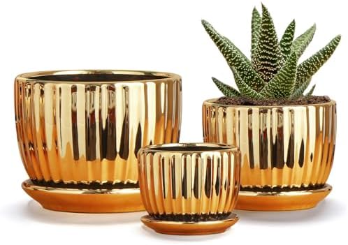 Plant Pots,Ceramic Flower Pots with Drainage Holes & Saucers Set of 3（Gold） by TonSin