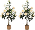 2Pack Artificial Camellia Tree, 3Ft Faux Yellow Camellia Plant in Pot, Fake Outdoor Tree Camellia Flower Tree for Home Office Living Room Floor Indoor Decor by Unknown