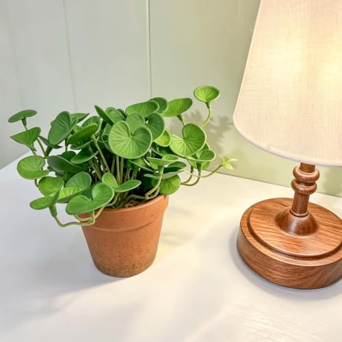 Artificial Coin Grass, 2 Pack Potted Plants for Indoor Tabletop Home Office - Image 6