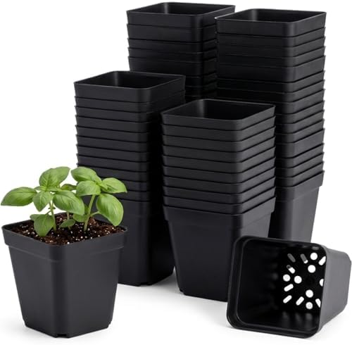50 Packs Square Nursery Pots for Plants 2.8 Inch Seedling Pots by Unknown