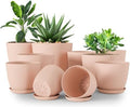 Plant Pots Indoor with Drainage, 10 Pack Multi-Size Planters Set, Pink by UTOPIAHOME