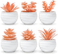 Der Rose 6 Pack Fall Fake Succulent Plants in White Pots for Autumn Decor by DerRose