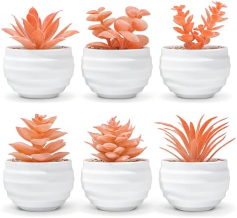 Der Rose 6 Pack Fall Fake Succulent Plants in White Pots for Autumn Decor by DerRose