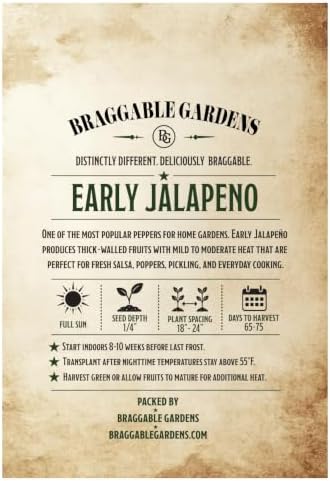 Early Jalapeño Pepper Seeds, Jalapeno Pepper Seeds for Planting, Full Sun Vegetable Garden Seeds, Thick-Walled Peppers with Mild to Moderate Heat for Salsa, Poppers, Pickling Cooking - Image 3