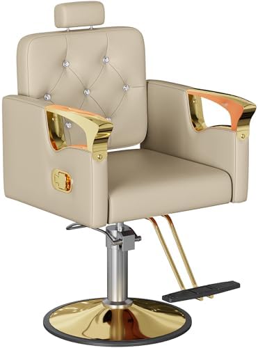 Barber Chair for Hair Stylists, Hydraulic Styling Chair with Heavy Duty Pump, 360° Swivel Barber Chairs with Reclining, Adjustable Headrest, Beauty Salon Equipment, 330 Lbs by Unknown