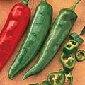 Garden Salsa Hot Peppers Seeds (45 Seeds) by Unknown
