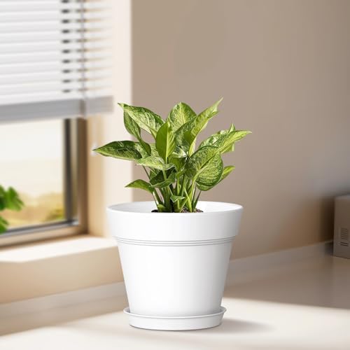 WSMKSZ 7 Inch Thick Plastic Plant Pots with Drainage Holes and Trays – 6 Pack Nursery Pots for Indoor & Outdoor House Plants, Seedling Starter Planters for Garden Flowers, White - Image 2