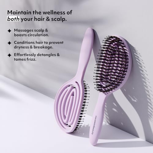 The Boar's Hair Bristle Wellness Brush | Conditions, Detangles, Boosts Scalp Circulation, Lightweight Flexible Design, Vented Cushion, Pain-Free, Helps Dry Damaged Hair (Korean Lilac) - Image 4