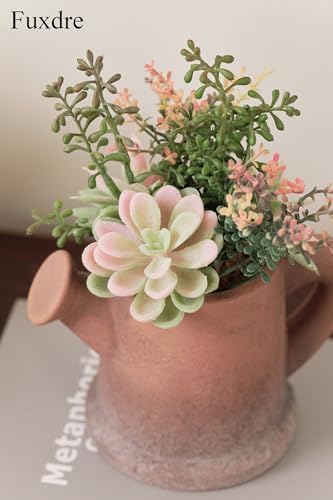 Artificial Succulents in Waterproof and Drop-resistant Pots with 2 Pack - Image 5
