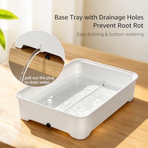 Seed Starter Tray Kit with Adjustable-Vent Humidity Dome & Air‑Pruning Cells, Reusable Plant Germination Trays with Superior Air & Drainage, Removable Cells for Flexible Transplanting, 12‑Cell - Image 7