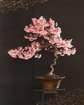 30 Japanese Flowering Cherry Blossom Bonsai Seeds, Sakura Bonsai Seeds - Fresh Exotic Rare Bonsai Seeds - by CZGrain