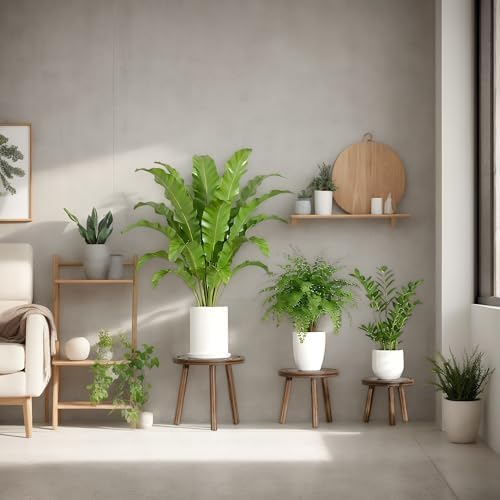 3-Pack Wood Plant Stands Indoor, Single Plant Stand for 6-12 Inch Pots, Mid-Century Modern Plant Stool, Tall Plant Stand for Large Plants Perfect Fit for Living Room, Balcony, Office - Image 5