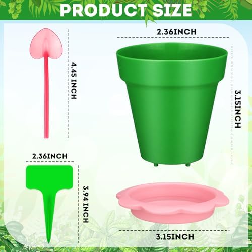 36 Packs Cupcake Plant Nursery Pots with Humidity Dome Small Flower Pots Plastic Planting Containers Cups with Saucers and Shovel for Indoor Outdoor Plant Succulent Display(Colorful) - Image 2