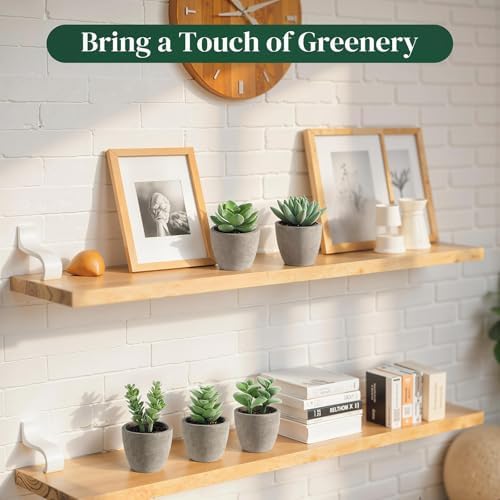DomeStar Set of 6 Artificial Green Succulent Plants Potted - Image 4