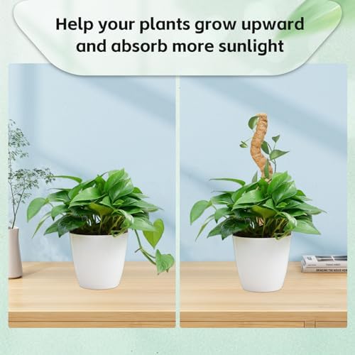 2 Pack Moss Pole,27.6 Inch Moss Poles for Plants Monstera Bendable Plant Stakes for Indoor Coco Coir Pole Climbing Plant Support Stakes for Creeper Plants Grow Upwards - Image 6