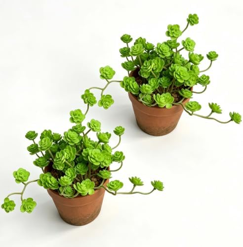 Artificial Green Trailing Rosette Succulent Potted Plant, 2 Pack by QenyiHPD