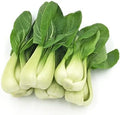 700ct+ HipGirl Baby Bok Choy Seeds for Sprouting,Cabbage Seeds for Planting,Microgreen Seed Planting for Home Vegetable Garden-Pak Choi Shanghai(上海青江菜) 2g, Sow in Fall/Spring. by HipGirl