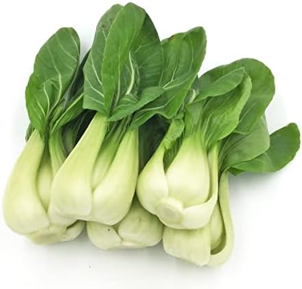 700ct+ HipGirl Baby Bok Choy Seeds for Sprouting,Cabbage Seeds for Planting,Microgreen Seed Planting for Home Vegetable Garden-Pak Choi Shanghai(上海青江菜) 2g, Sow in Fall/Spring. by HipGirl