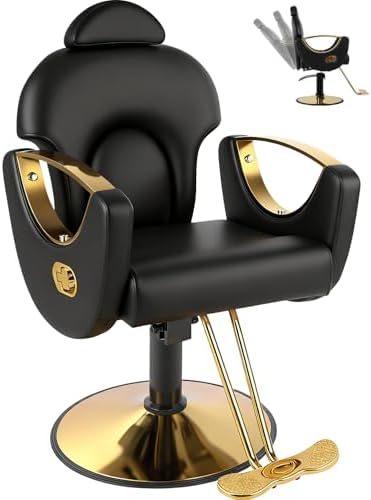 Black Salon Chair for Hair Stylist, Professional Barber Chairs Barbershop Hair Stylist Chair with Heavy Duty Hydraulic Pump, 360° Braiding Styling Hairdresser Chairs for Spa Home Euipment, Cold Black by FELIVINE