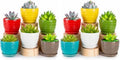 Elsjoy 12 Pack 4.3 Inch Ceramic Succulent Pots with Drainage and Attached Saucer, Small Decorative Succulent Planter Cute Ceramic Flower Pots for Home, Garden by Elsjoy