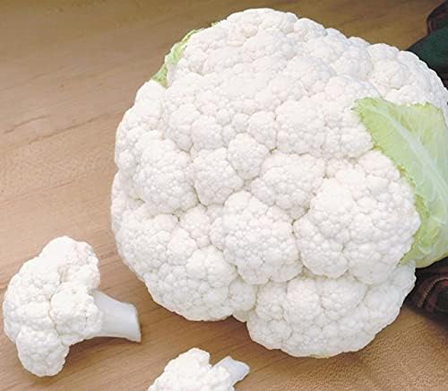 Gaea's Blessing Seeds - Cauliflower Seeds - Snowball Y Improved - Non-GMO Seeds with Easy to Follow Planting Instructions 93% Germination Rate - Image 5