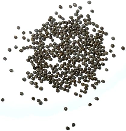 Seed Needs Green Shiso Seeds to Plant an Herb Garden - 1 Pack - Image 6