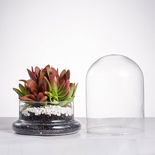 NCYP Small Glass Terrarium Cloche with Air Hole, 4.7 x 4.7 x 6.3 Inches - Image 5