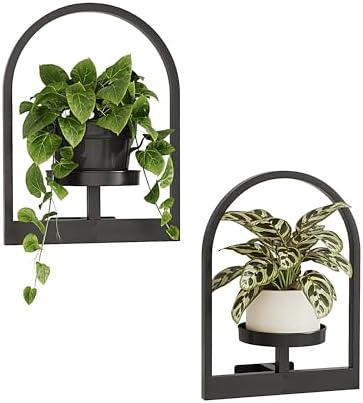 Bamworld Wall Plant Holder Plant Stand Indoor Wall Planters Round by Bamworld