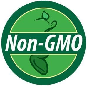 Dark Green Zucchini Seeds (1 Lb) Non GMO Bulk - Image 3