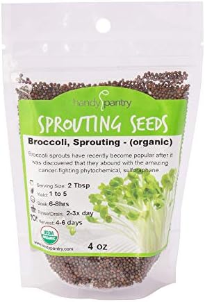 Handy Pantry Organic Broccoli Sprout Growing Kit Non-GMO Seeds - Image 3