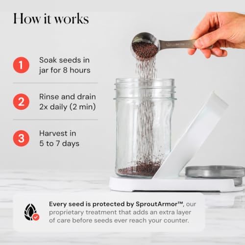 Jar Sprouting Kit with 8oz Broccoli Sprout Seeds - Image 5