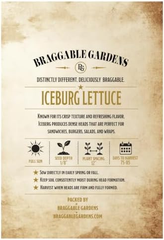 Iceberg Lettuce Seeds, Crisphead Lettuce Seeds for Planting, Full Sun Vegetable Garden Seeds, Crisp Refreshing Lettuce Heads for Salads, Sandwiches, Burgers and Wraps - Image 3