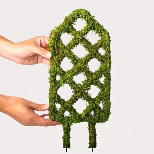 SuperMoss Plant Trellis - Decorative Garden Trellis for Climbing Plants Indoor & Outdoor | Moss-Covered Plant Support for Raised Garden Bed, Patio, Planters, and Garden Decor, Mini 17" X 6.5", Diamond - Image 4